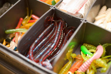 Real Baits