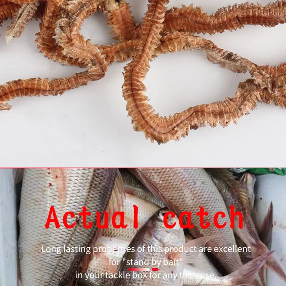 Silicone Lugworm Bait 6g/10g — Realistic Soft Power Lure