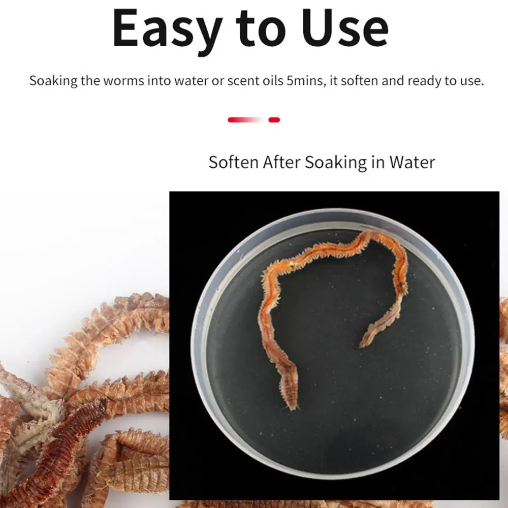 Silicone Lugworm Bait 6g/10g — Realistic Soft Power Lure