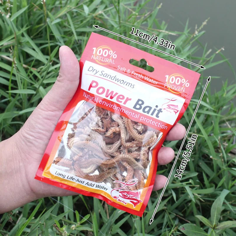 Dry Sandworm Lure — Natural Carp & Sea Fishing Bait