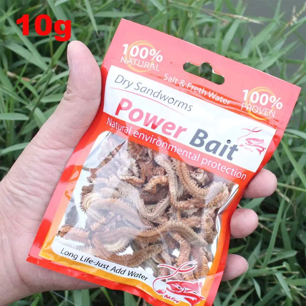 Silicone Lugworm Bait 6g/10g — Realistic Soft Power Lure