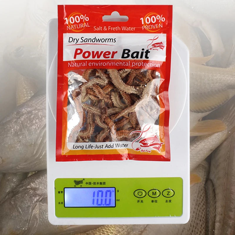 Dry Sandworm Lure — Natural Carp & Sea Fishing Bait