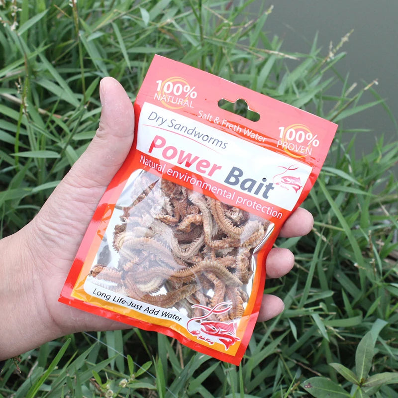 Dry Sandworm Lure — Natural Carp & Sea Fishing Bait